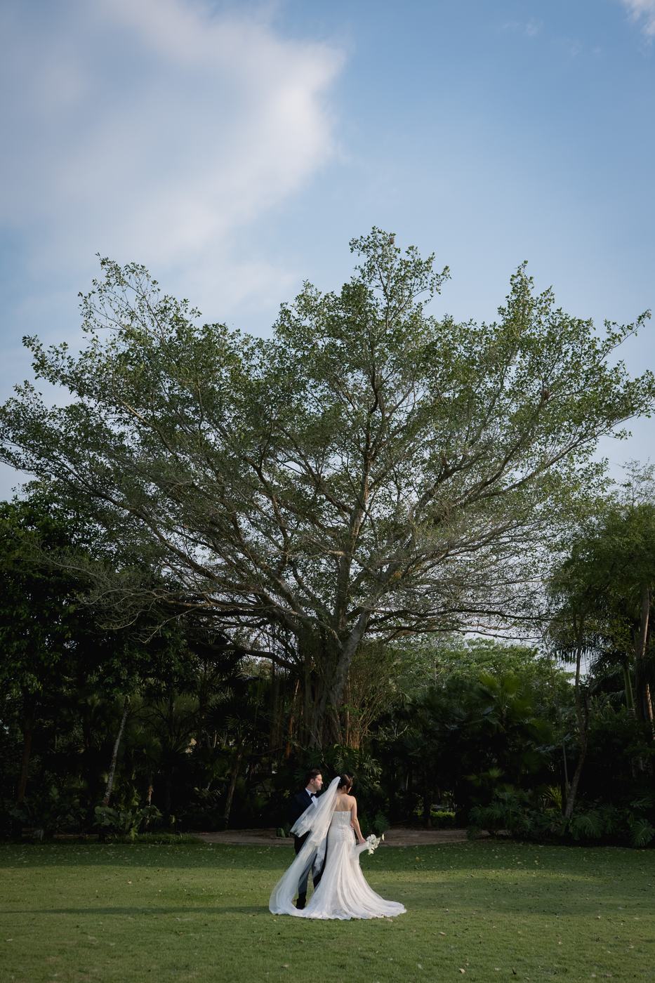 Sesión de los novios