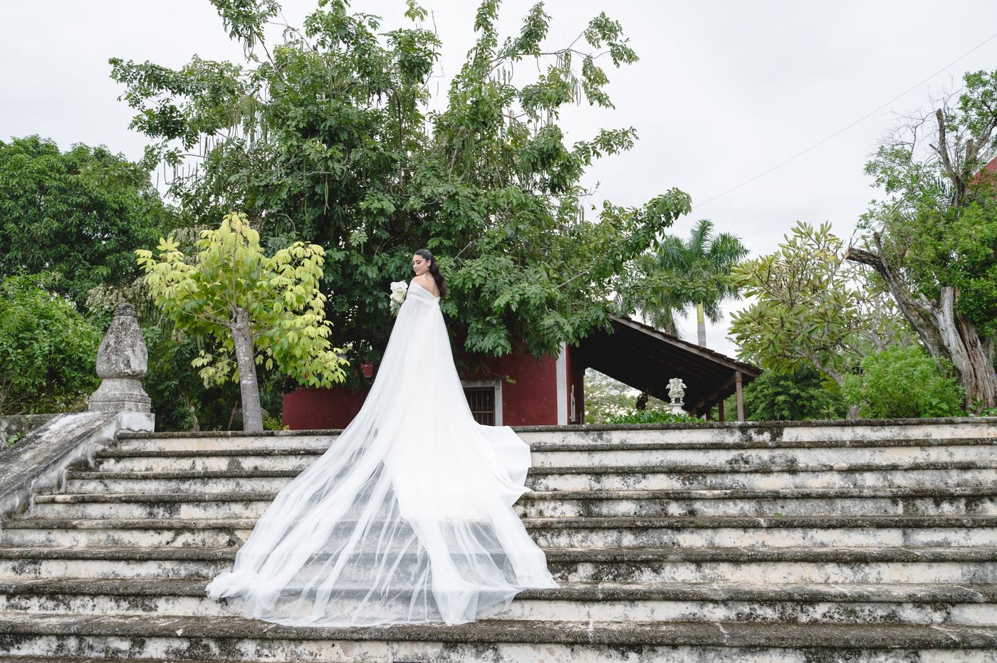 Sesión de los novios