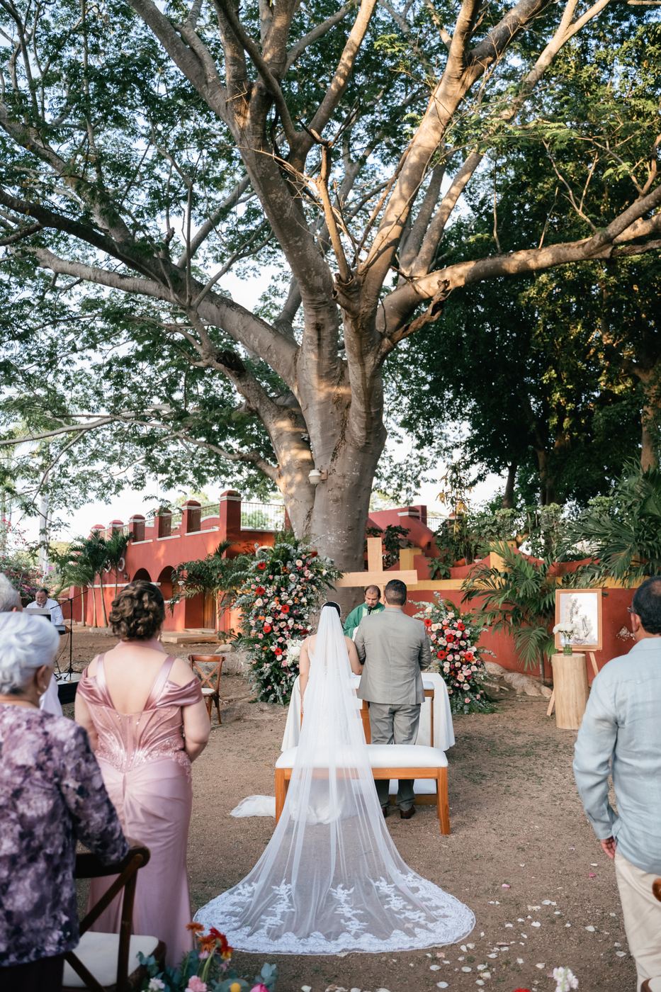 Novia con velo largo bajo un árbol, vista desde abajo